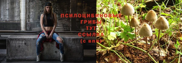 кокаин перу Каменка