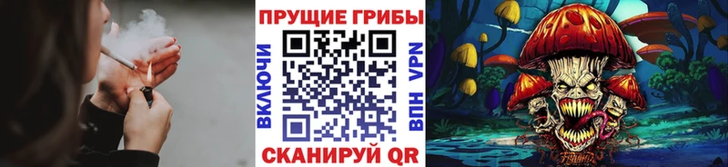 Галлюциногенные грибы Psilocybe  Купить где  Артёмовский 